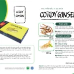 Thông Tin Sản Phẩm Cordyginsen - Viên đông Trùng Nhân Sâm Tăng Cường Sinh Lý Nam Giới