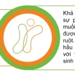 Men Vi Sinh Công Nghệ Bao Kép Thế Hệ Thứ 4 - 7Mart.vn