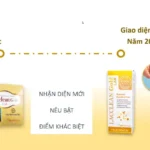 Bao Bị Mẫu Mã Mới Của Lacclean Gold Lab 2024 - 7Mart.vn