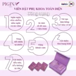 Công dụng Viên đặt phụ khoa Pigina (Set tối ưu 18 viên) chính hãng giá tốt - 7Mart.vn