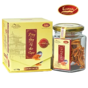 Đông trùng hạ thảo Sapa khô Elipha 10g chính hãng giá tốt - 7Mart.vn