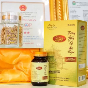 Viên Nang Đông Trùng Hạ Thảo Sapa 28 viên chính hãng giá tốt - Traphaco Sapa - 7Mart.vn
