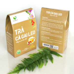 Trà cà gai leo AP Phú Hưng - 7Mart.vn