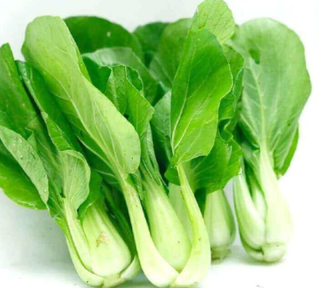 20200513_164911_307202_raucai-max-1800x1800-1 Rau cải