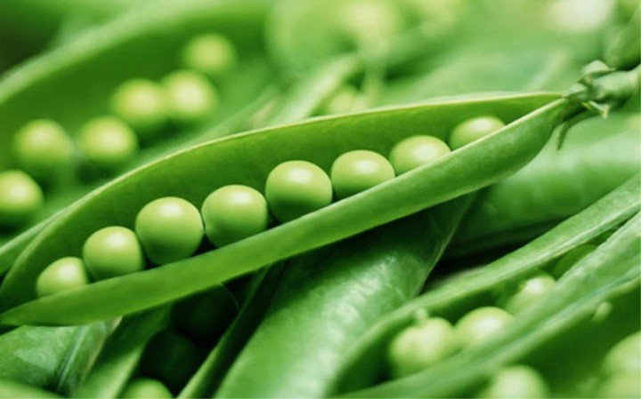 20200528_043319_947793_hat-dau-trang-co-to-max-1800x1800-1-4 Đậu Hà Lan cũng là một loại đậu trắng