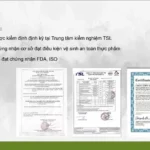 Các Giấy Chứng Nhận Nui ăn Dặm Rau Củ Anpaso