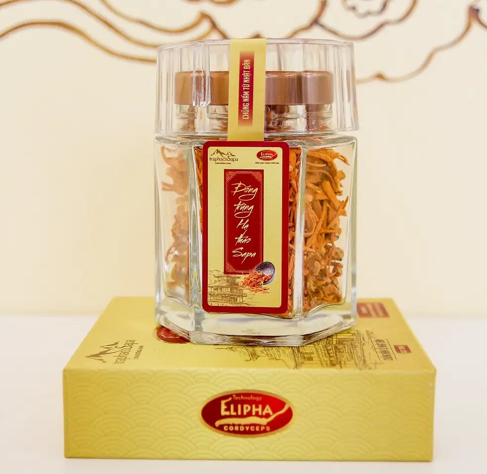 Đông trùng hạ thảo Sapa khô lọ 20gr Elipha - Traphaco Sapa - 7mart.vn