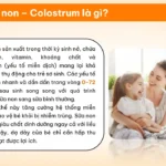 Sữa Non Colostrum Là Gì - 7Mart.vn