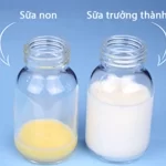 Sữa non