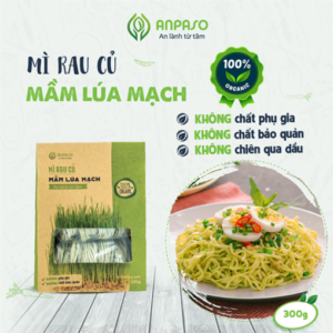Mì Mầm Lúa Mạch Organic 300g Anpaso