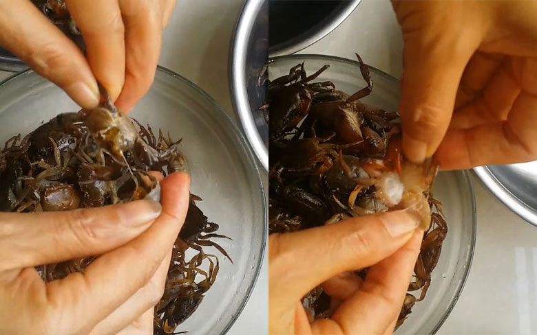 ckeditor_3147229-1 Cách xay cua bằng máy xay sinh tố tiếp theo bạn cần cách bỏ mai và yếm cua ra