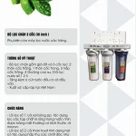 Thông Tin Bộ Lọc Chặn 3 Cốc (10 Inch)