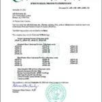 Chứng Nhận Halal Của Sữa Non 24h Papamilk Height And Gain Chứa Tổ Yến - 7Mart.vn