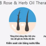 Liệu Pháp Tinh Dầu Hoa Hồng Và Thảo Mộc Trong Xịt Dưỡng Tóc Luub Q10 - 7Mart.vn