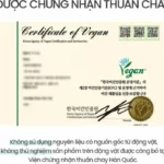 Chứng Nhận Thuần Chay Của Kem Dưỡng Phục Hồi Da Beyond Angel Aqua Cica Cream Vegan Formula - 7Mart.vn