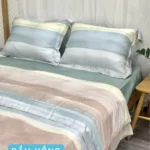 Combo Vỏ Mền Và Vỏ Gối Tencel 60s Mẫu Cầu Vồng - Tân Phát - 7Mart.vn