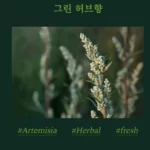 Kem Xả Tóc Beyond Healing Force Scalp Clinic Treatment Thuần Chay - 7Mart.vn