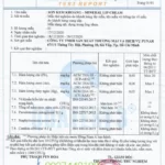 Phiếu Kết Quả Thử Nghiệm Sản Phẩm Son Kem Khoáng C’choi - Mineral Lip Cream - Punar - 7Mart.vn