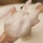 Tạo Bọt Sữa Tắm Dưỡng ẩm Beyond Deep Moisture Creamy Body Wash - Lg Vina - 7Mart.vn