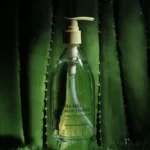 Shirley Curly Tea Tree Aloe Vera Gel 300ml - Trà Xanh Tràm Trà - 7Mart.vn