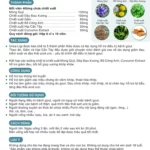 Thông Tin Thực Phẩm Hỗ Trợ Gout Urica Ligi - 7Mart.vn