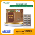 Thực Phẩm Bổ Khí Huyết Buxin Plus - 7Mart.vn