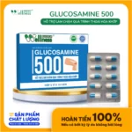 Thực Phẩm Làm Chậm Thoái Hóa Khớp Glucosamine 500 Life Gift - 7Mart.vn