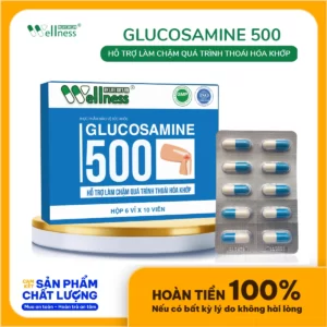 Thực Phẩm Làm Chậm Thoái Hóa Khớp Glucosamine 500 Life Gift - 7Mart.vn