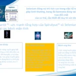 Công Dụng Của Selen Trong Phyco Sante
