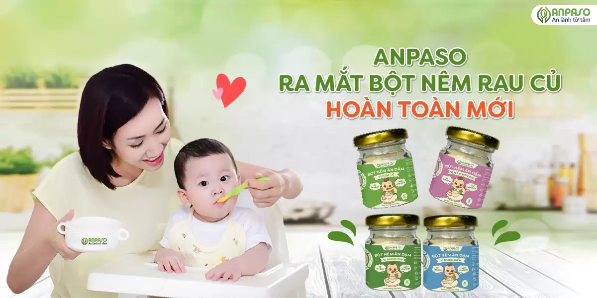 Hạt Nêm ăn Dặm Cho Trẻ Organic Anpaso - Droppii Mall