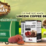 Hộp Quà Tặng Cà Phê Sức Khỏe Lingzhi Coffee - Life Gift Vn - 7Mart.vn