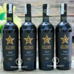 Rượu Vang Polo 99 Glory Primitivo Igp Salento 75cl - 7Mart.vn