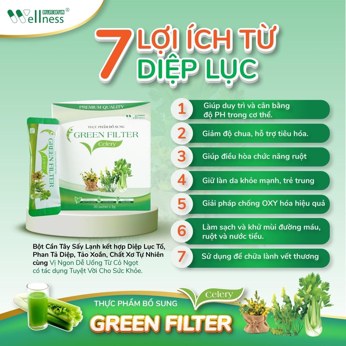7 lợi ích từ Diệp lục - Thực phẩm bổ sung bột Cần tây – diệp lục Green Filter Celery – 7mart.vn